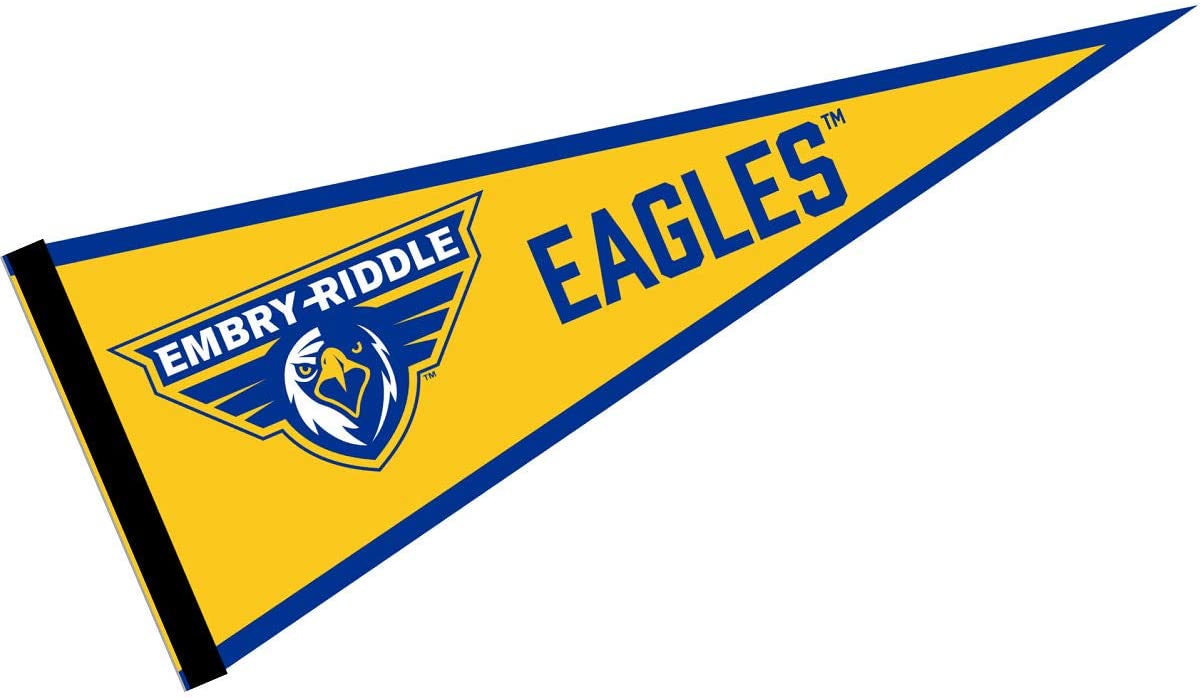 embry-riddle-flag.jpg